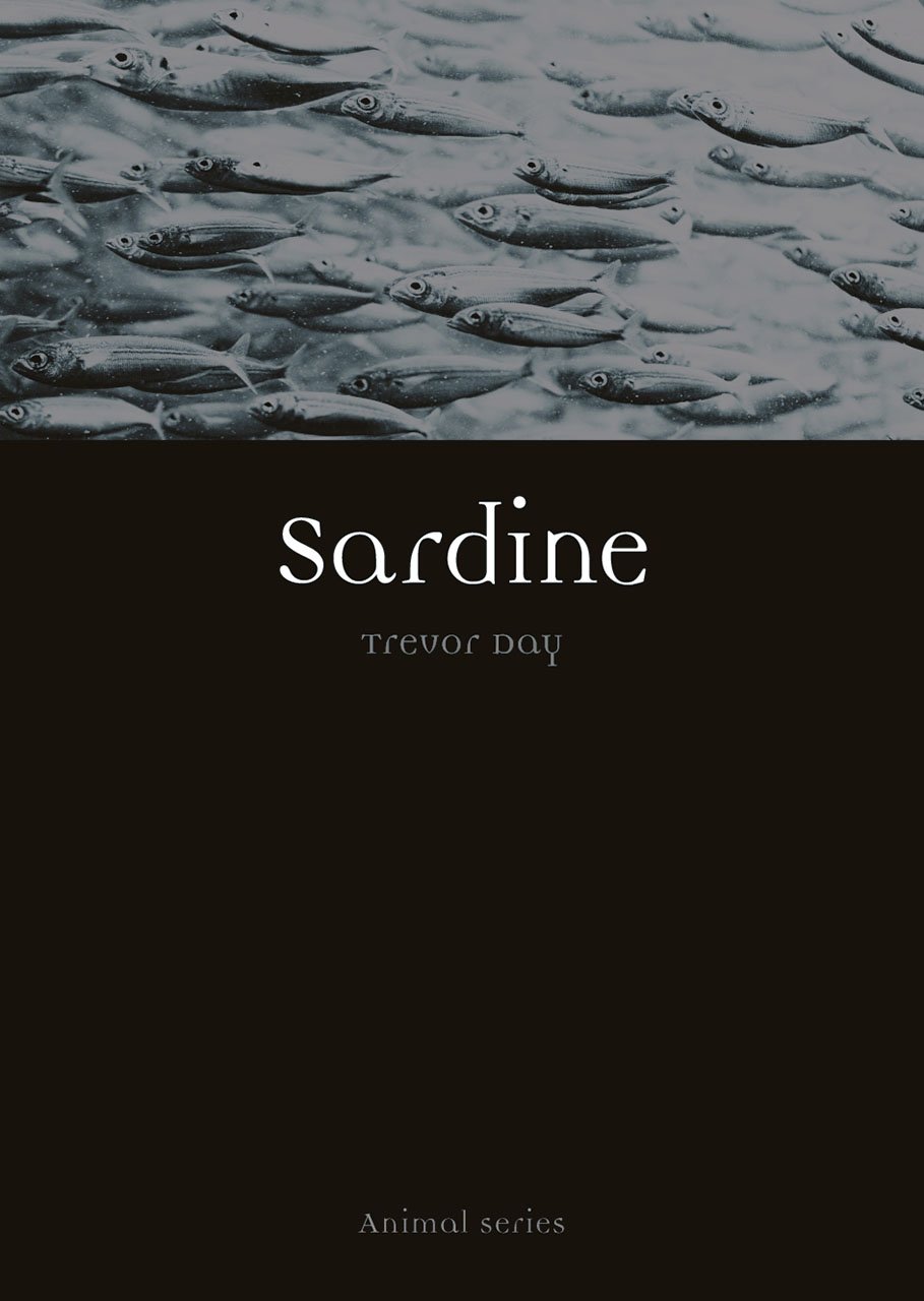 Sardine by Trevor Day